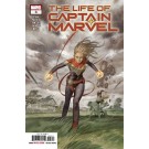 LIFE OF CAPTAIN MARVEL #3 (OF 5)